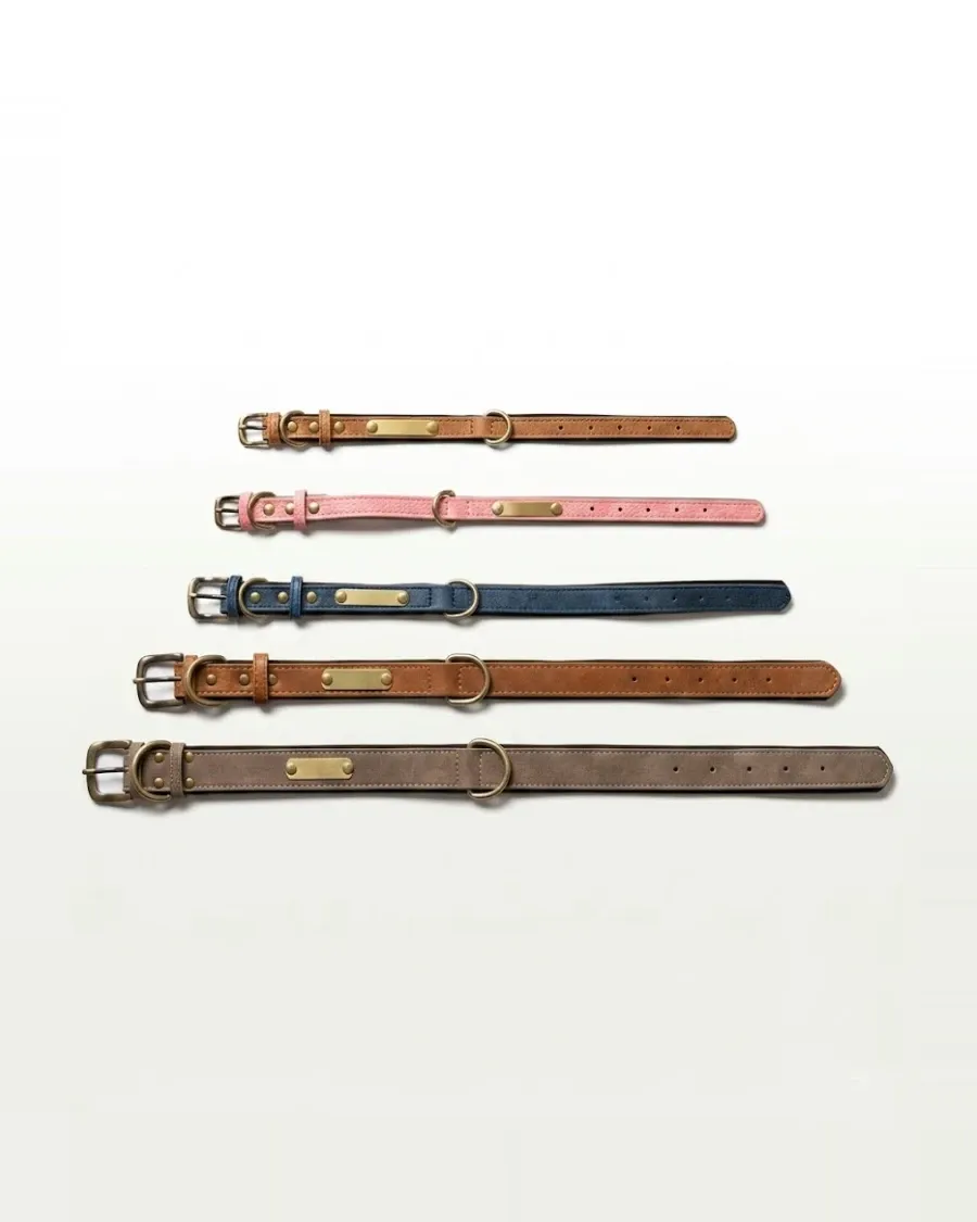 Leather Dog Collar with Brass Name Plate by Thomsen Customs